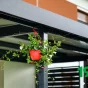 Virágcserép a pergola gerendájára akasztva