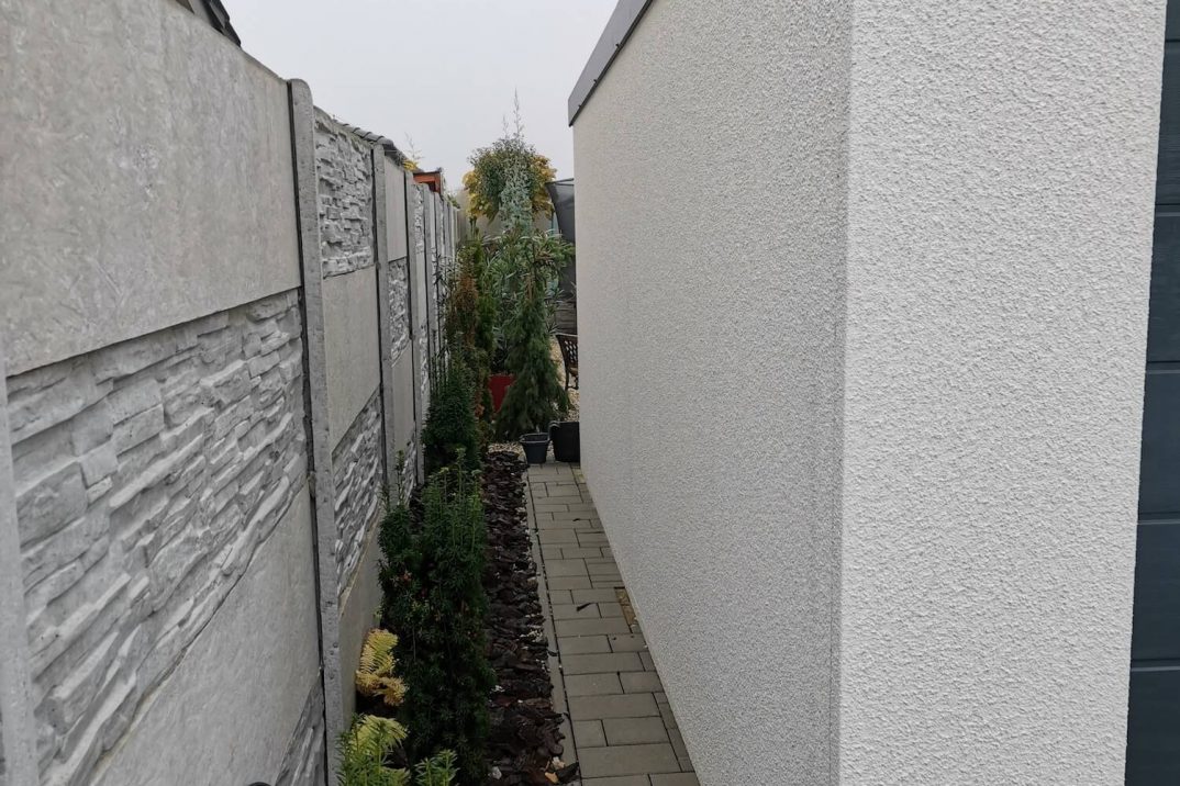 Növények a kerítés és a garázs között