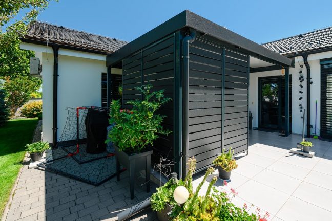 A pergola lamellás falának részlete paradicsomokkal és focihálóval